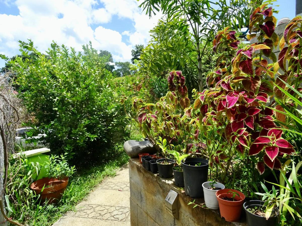 Bungalow Dourou Deshaies Exterior foto