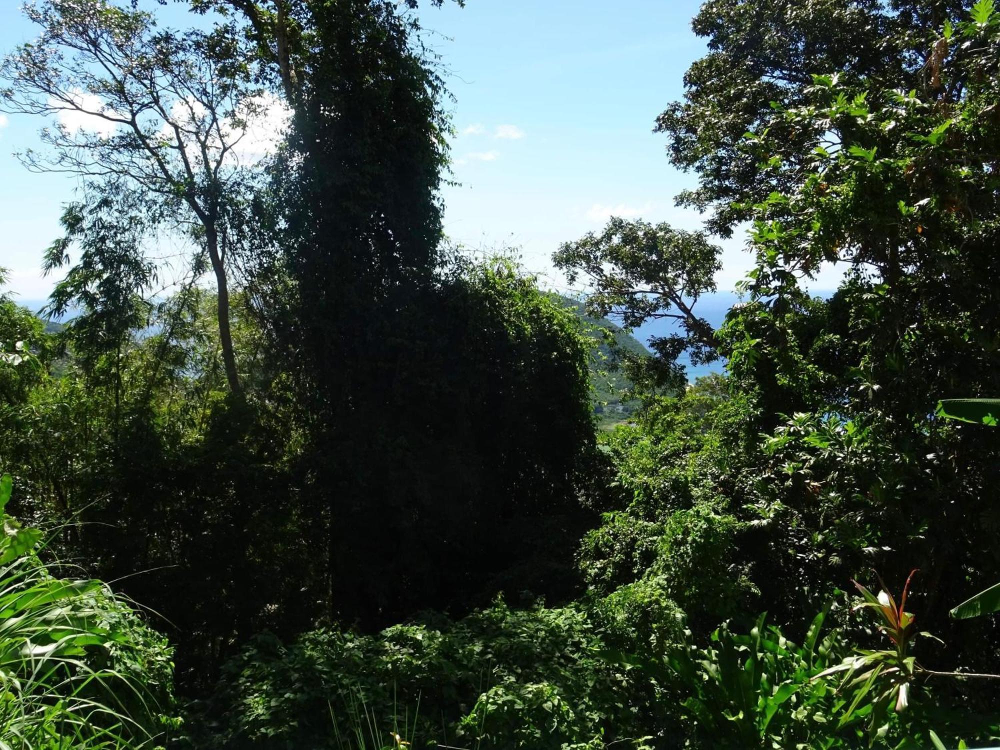 Bungalow Dourou Deshaies Exterior foto